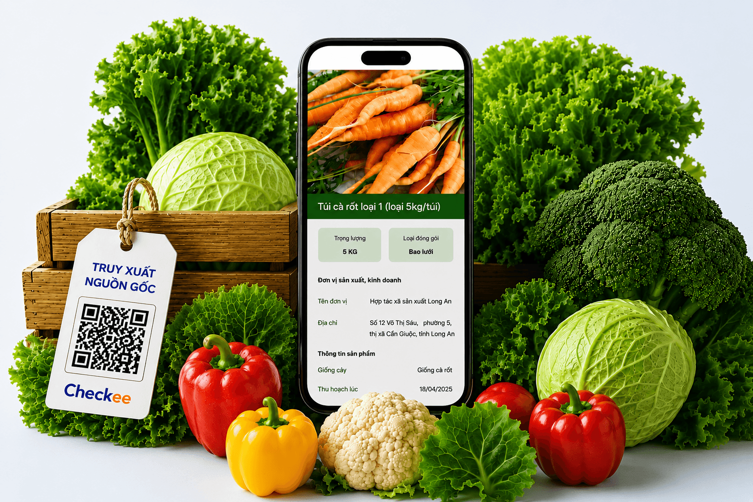 Truy xuất nguồn gốc