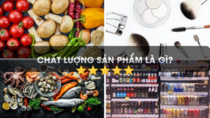 chat luong san pham la gi, tam quan trong cua chat luong san pham, vi du ve chat luong san pham