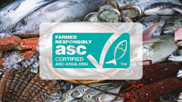 [Tìm hiểu] Chứng nhận asc là gì? Lợi ích & Nguyên tắc